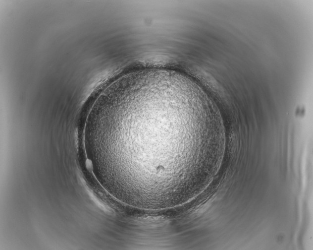 X0000094210638200711021116