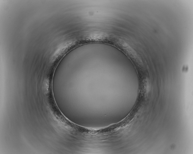 X0000094210640200711021116