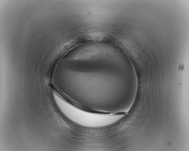 X0000094210641200711021116