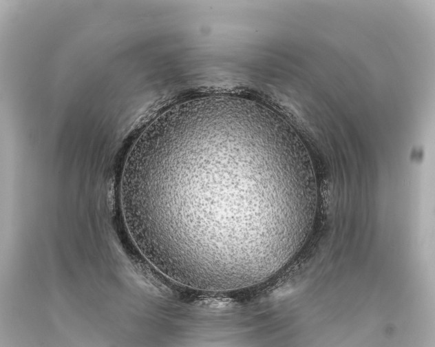 X0000094210642200711021116