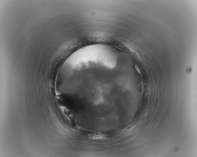 X0000094210643200711021116