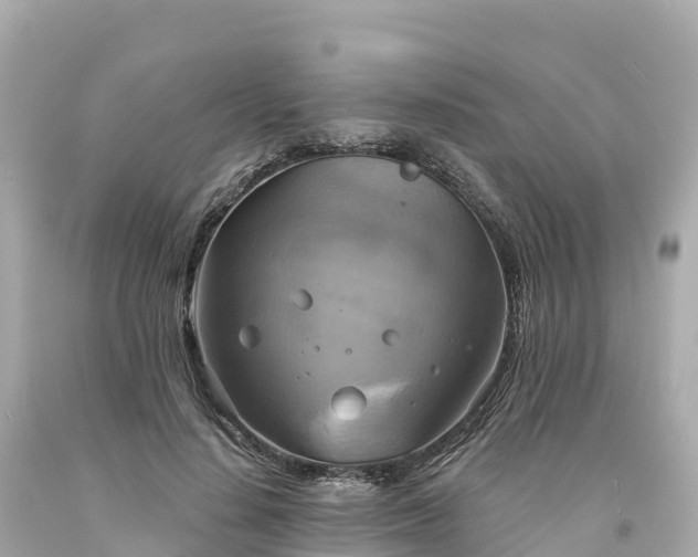 X0000094210644200711021116