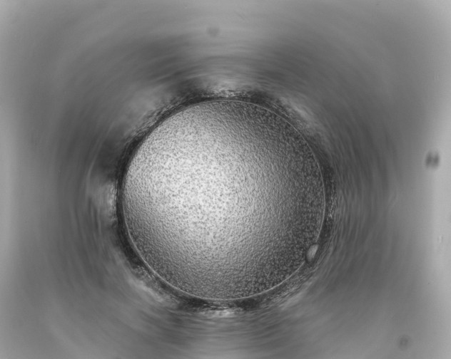 X0000094210646200711021116
