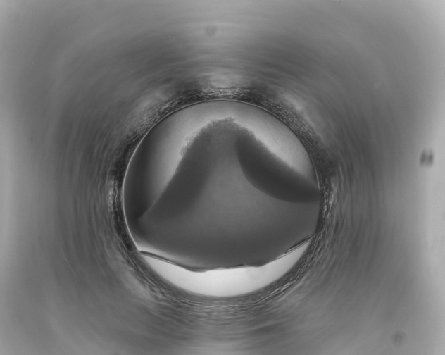 X0000094210647200711021116