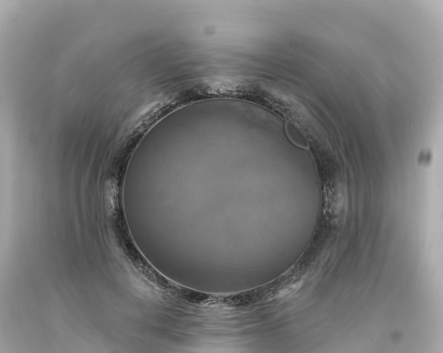 X0000094210648200711021117