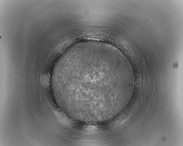 X0000094210649200711021117