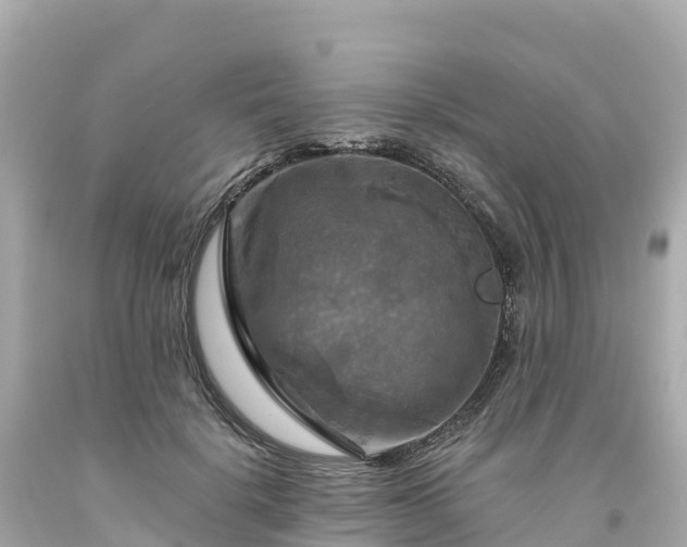 X0000094210652200711021117