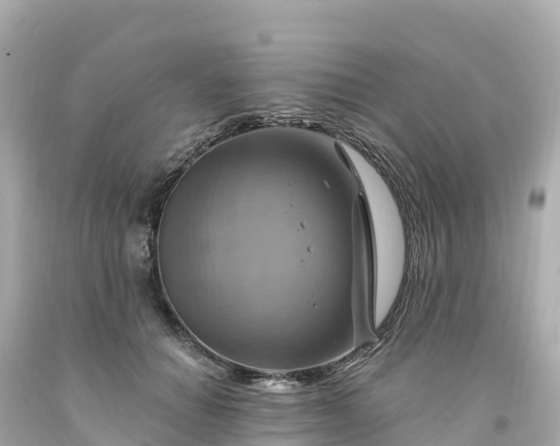 X0000094210654200711021117