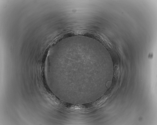 X0000094210655200711021117