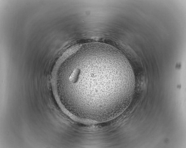 X0000094210656200711021117