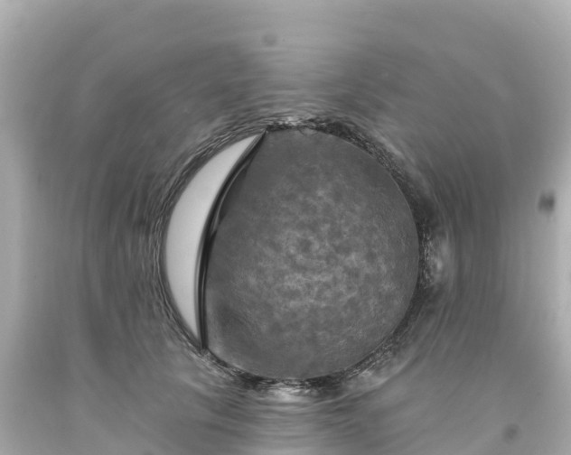 X0000094210657200711021117