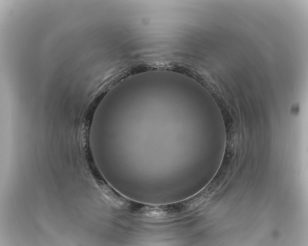 X0000094210658200711021117
