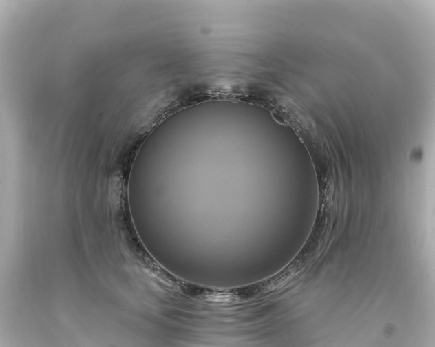 X0000094210659200711021117