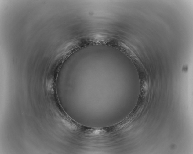 X0000094210663200711021117