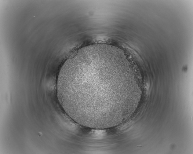 X0000094210665200711021117