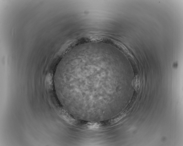 X0000094210667200711021117