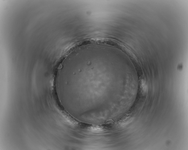 X0000094210668200711021117