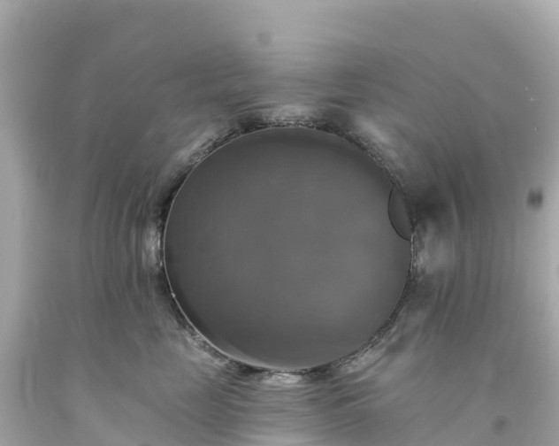 X0000094210669200711021117