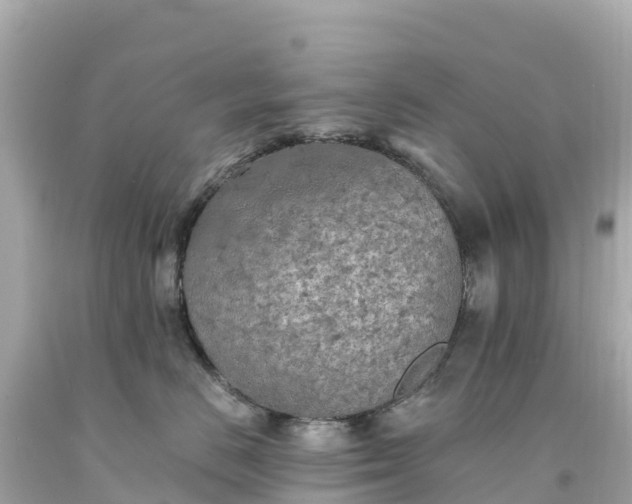 X0000094210670200711021117