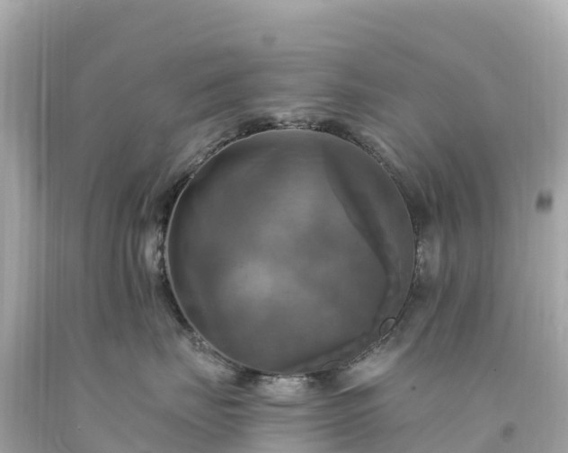 X0000094210671200711021117