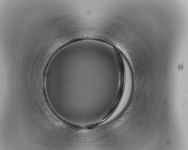 X0000094210673200711021116