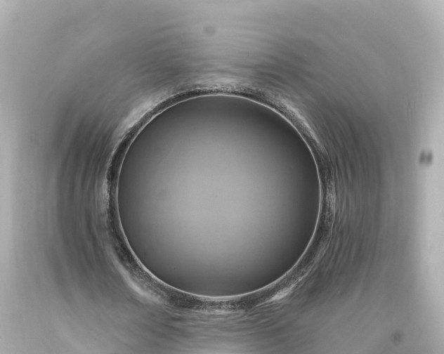 X0000094210674200711021116