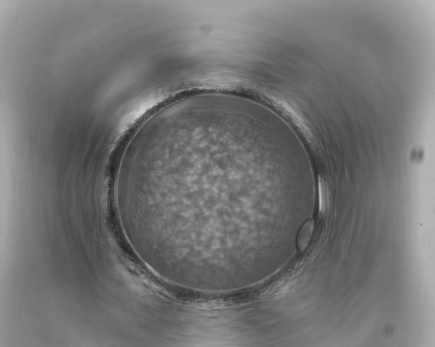 X0000094210675200711021116