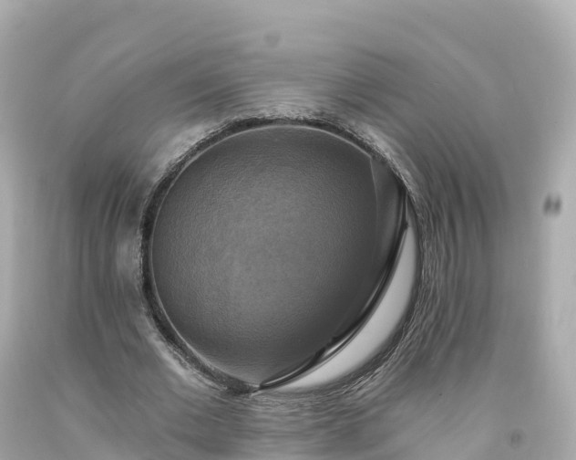 X0000094210677200711021116
