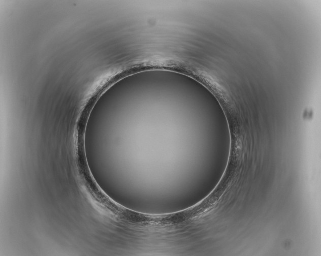 X0000094210678200711021116