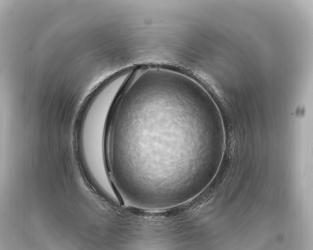 X0000094210680200711021116