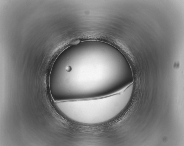 X0000094210681200711021116