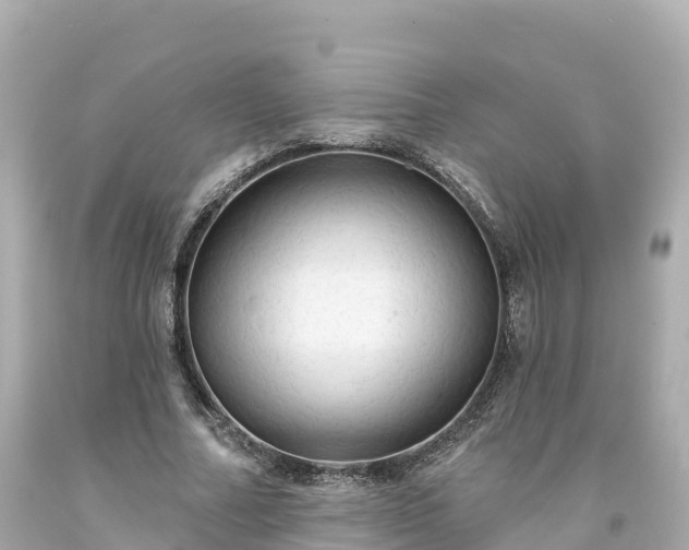 X0000094210682200711021116