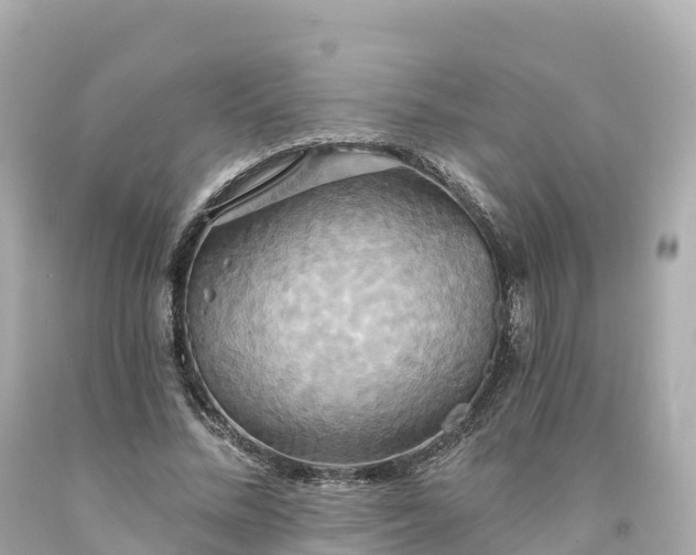 X0000094210684200711021116