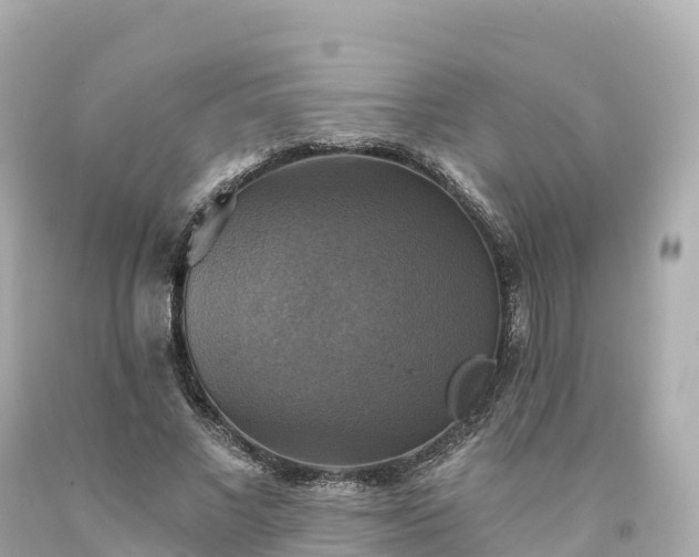 X0000094210685200711021116