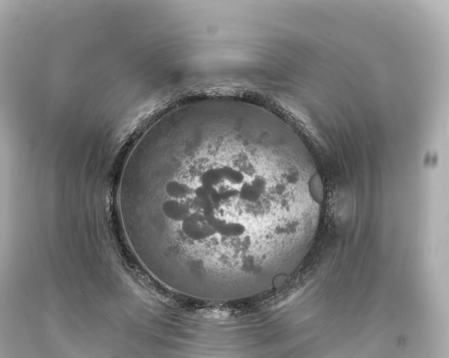 X0000094210687200711021116