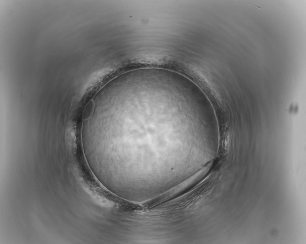 X0000094210688200711021116