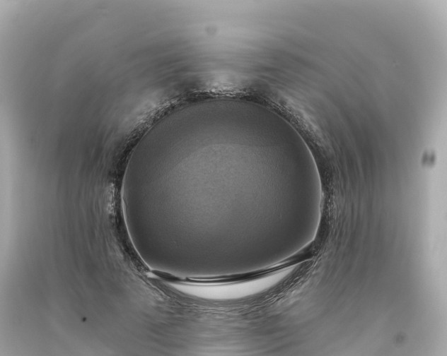 X0000094210689200711021116