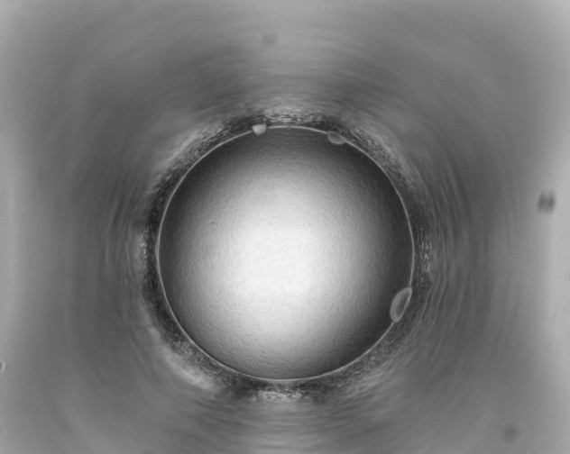 X0000094210690200711021116
