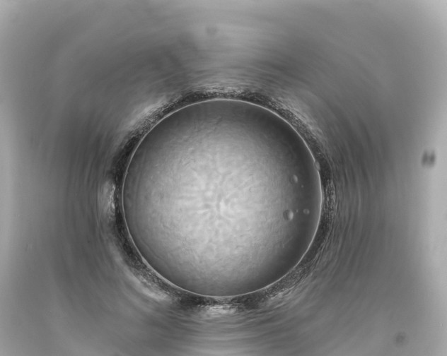 X0000094210692200711021116