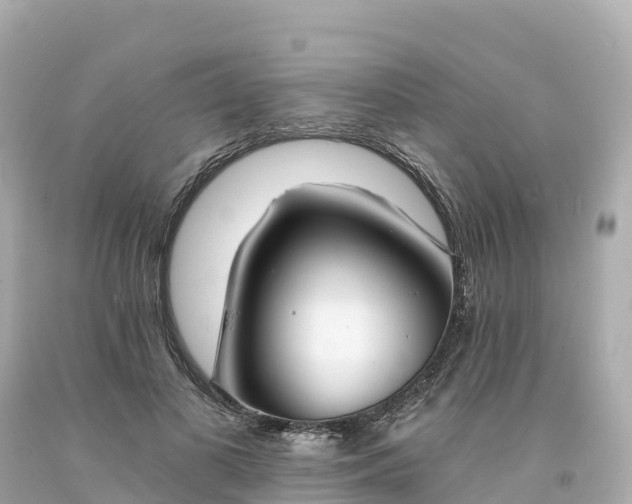 X0000094210693200711021116