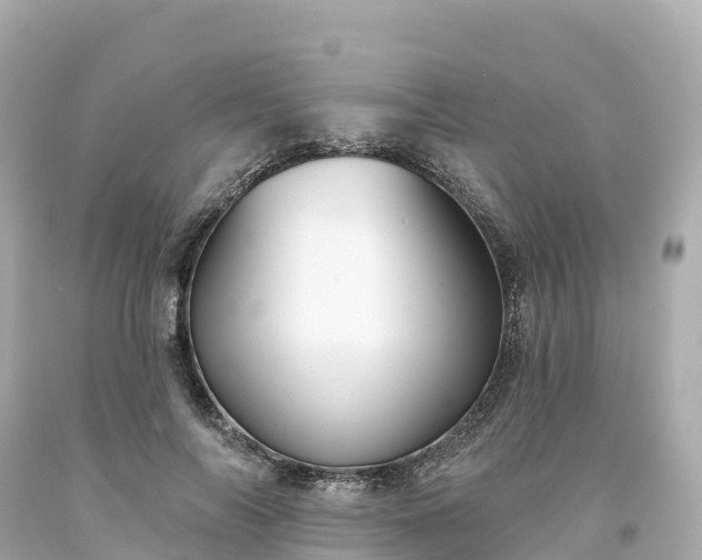 X0000094210694200711021116