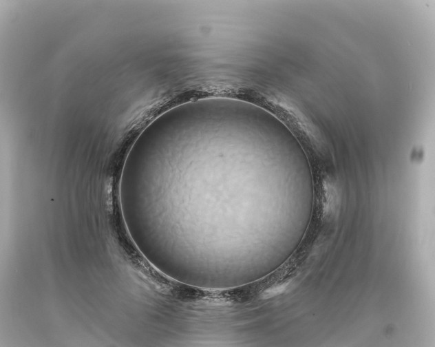 X0000094210696200711021116