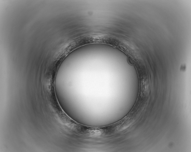 X0000094210698200711021116