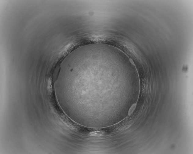 X0000094210700200711021116