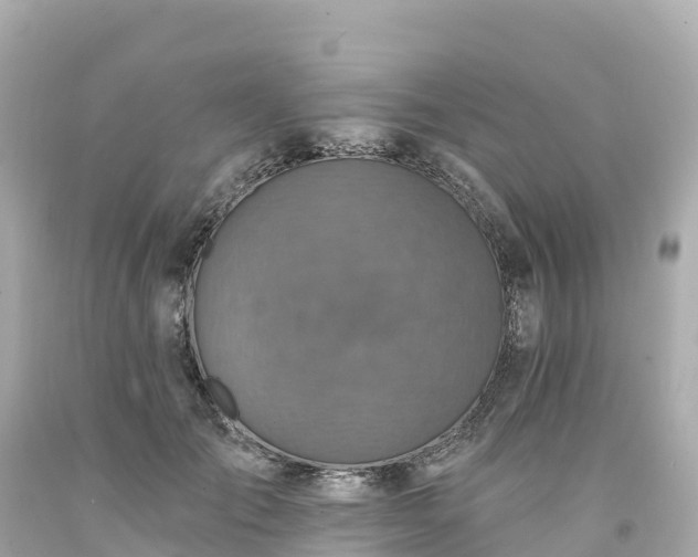 X0000094210701200711021116