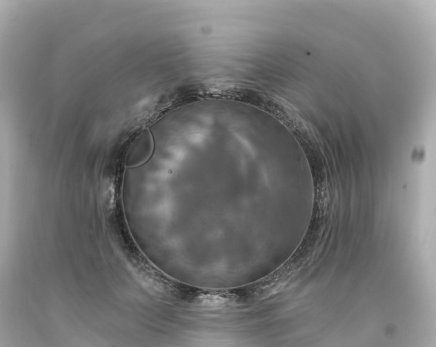 X0000094210703200711021116