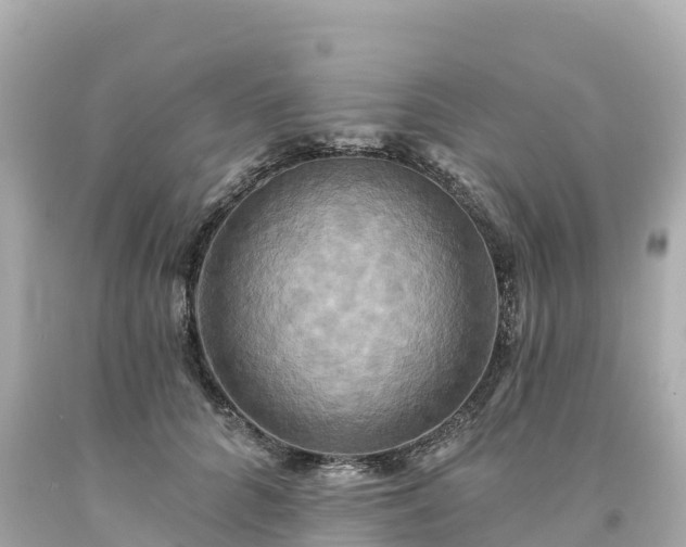 X0000094210704200711021116