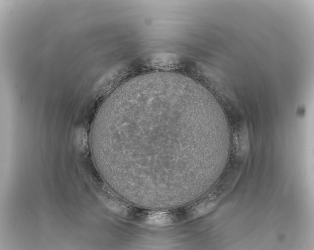 X0000094210705200711021116
