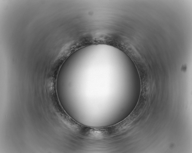 X0000094210706200711021116