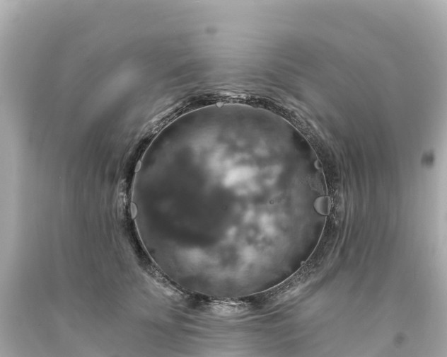 X0000094210707200711021116